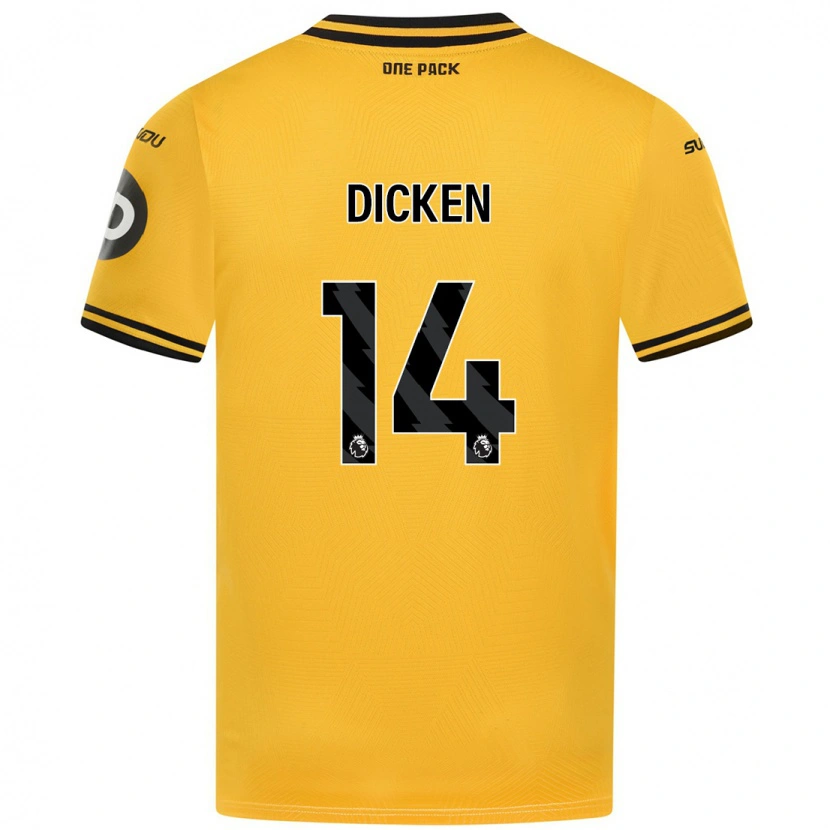 Danxen Kinder Amy Dicken #14 Gelb Heimtrikot Trikot 2024/25 T-Shirt