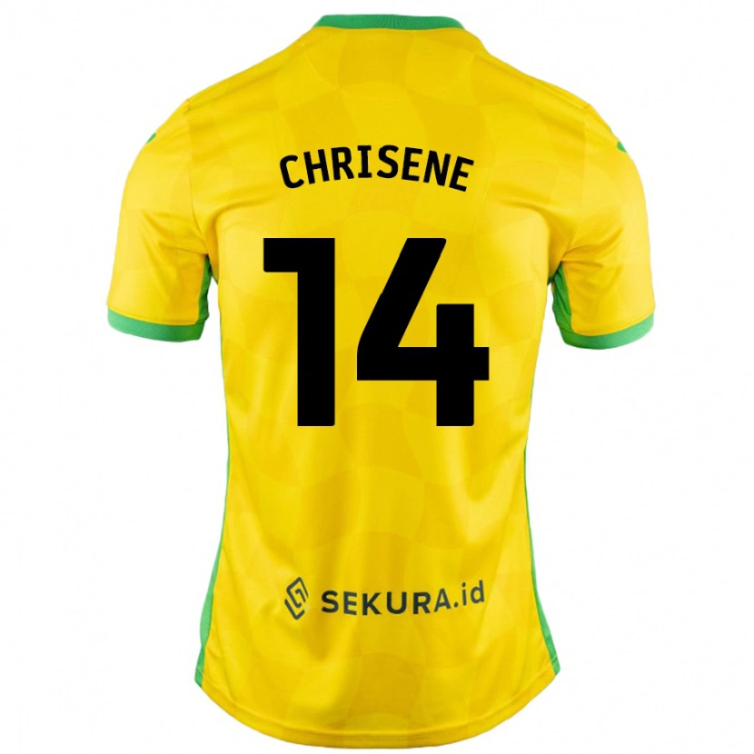 Danxen Herren Ben Chrisene #14 Gelb Grün Heimtrikot Trikot 2024/25 T-Shirt